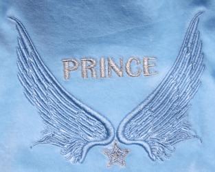 Ubranko dla psa bluza sportowa Prince błękitna