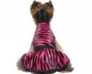 Sukienka dla psa różowy tygrysek