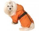 Ubranka dla psów kombinezon pomarańczowy
