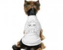 Ubranko dla psa  t-shirt  biały Cat Killer