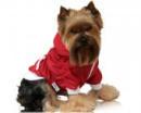 Ubranko dla psa kurtka czerwona