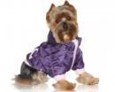 Ubranko dla psa kurtka fioletowa