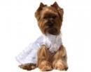 Ubranko dla psa sukienka ślubna
