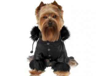 Czarna kurtka dla psa z futerkiem