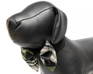 Czarno-zielona muszka dla psa z białym akcentem