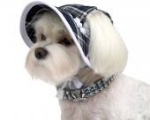 Granatowo-biały kapelusz dla psa w kratkę