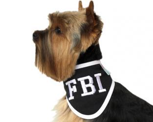 Haftowana chustka dla psa FBI