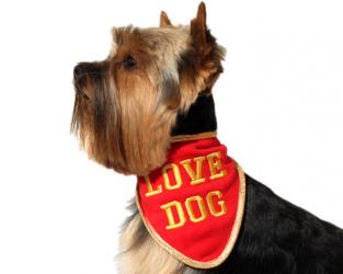 Haftowana chustka dla psa Love Dog