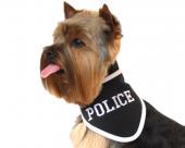 Haftowana chustka dla psa Police