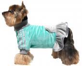 Miętowo-popielata sukienka zimowa dla psa