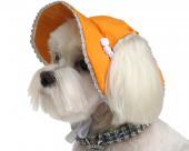 Pomarańczowy kapelusz dla psa