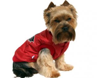 Ubranie dla psa bezrękawnik czerwony serce