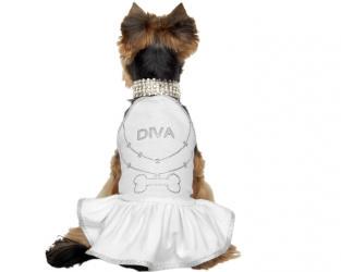 Ubranie dla psa sukienka dla psa biała