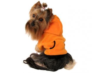 Ubranka dla psów dres polarowy pomarańczowy I