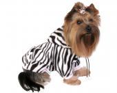 Ubranka dla psów dres polarowy zebra