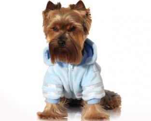 Ubranka dla psów futro błękitne