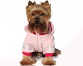 Ubranka dla psów futro rózowe