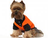 Ubranka dla psów koszulka dla psa pomarańczowa lilia