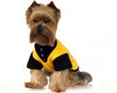 Ubranka dla psów koszulka dla psa żółta lilia