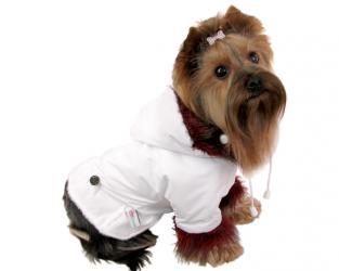 Ubranko dla psa kurtka biała