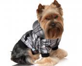 Ubranko dla psa kurtka ortalionowa fioletowa w kratkę