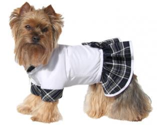 Ubranko dla psa kurtka ze spódnicą biała