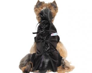 Ubranko pooperacyjne dla psa czarne